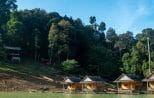 Bamboo floating raft houses moored against the forested shore of Cheow Lan Lake on the Khao Sok wildlife safari