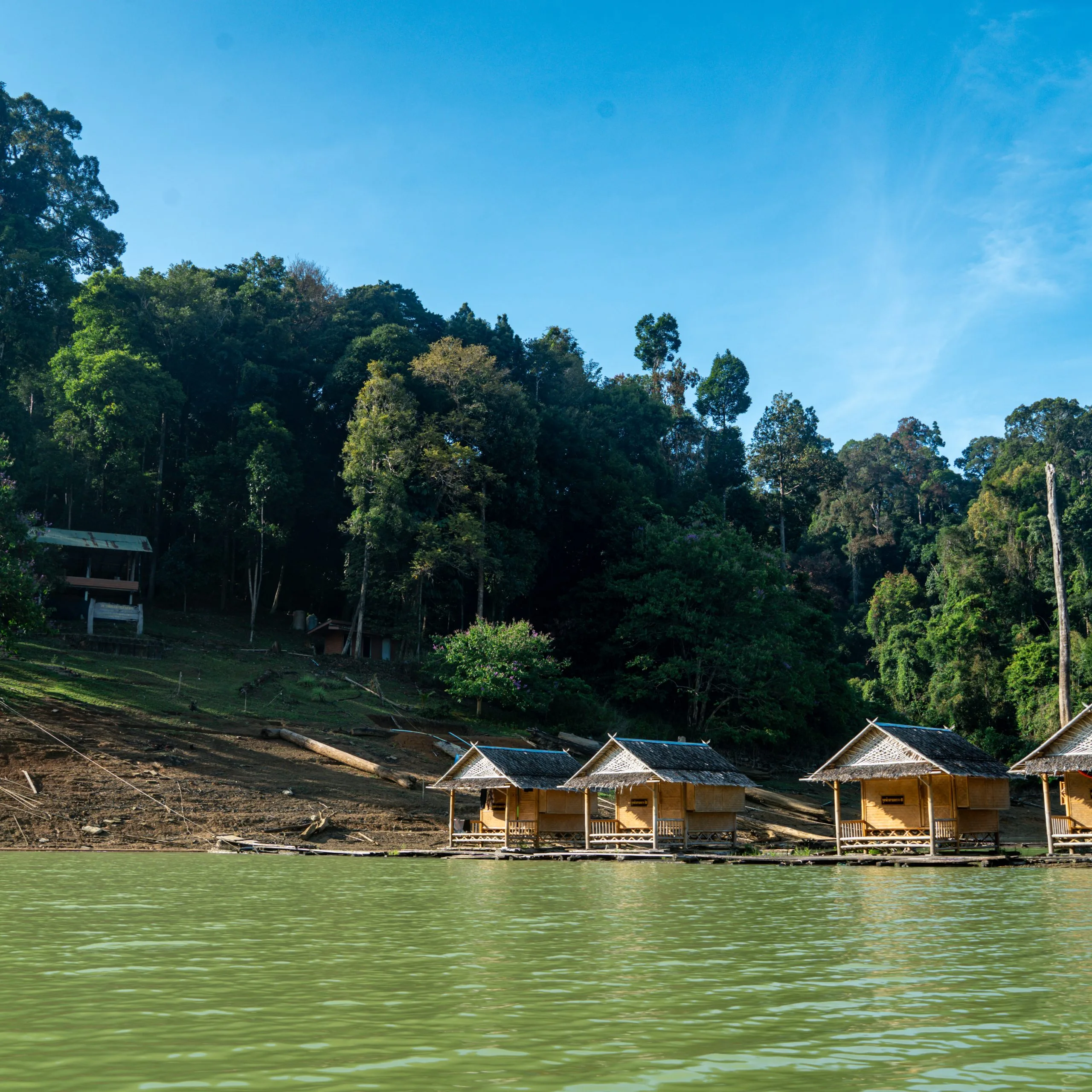 Bamboo floating raft houses moored against the forested shore of Cheow Lan Lake on the Khao Sok wildlife safari