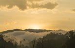 Low mist drifting over forested hills at sunrise in Khao Sok National Park