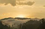 Low mist drifting over forested hills at sunrise in Khao Sok National Park