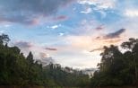 An open grass clearing edged by rainforest where wildlife gathers near the shore of Cheow Lan Lake
