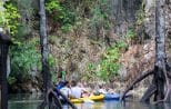 A canoe glides between mangrove roots in a flooded forest channel in Phang Nga Bay.
