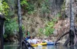 A canoe glides between mangrove roots in a flooded forest channel in Phang Nga Bay.