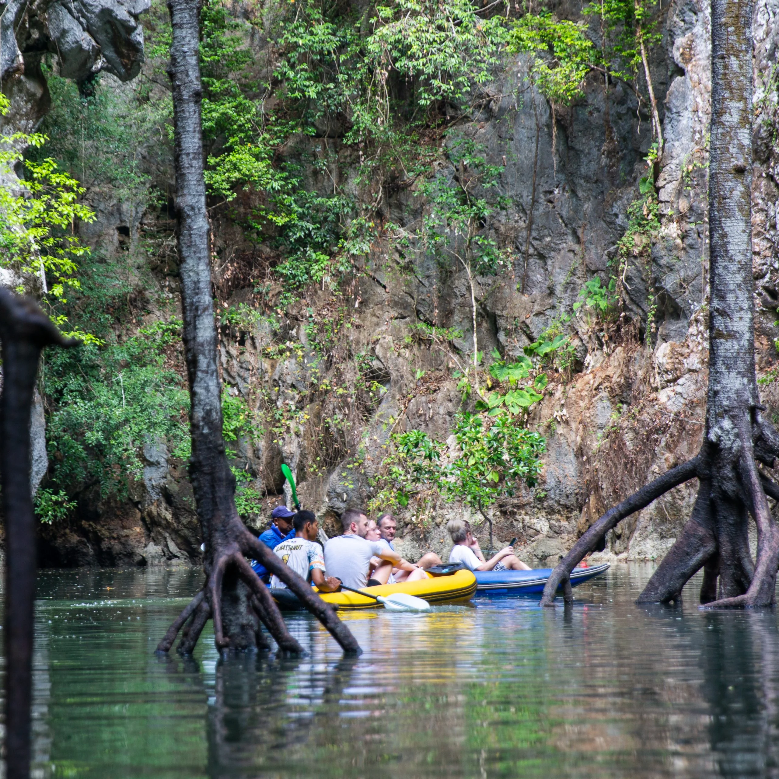 A canoe glides between mangrove roots in a flooded forest channel in Phang Nga Bay.