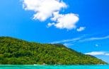 Jungle-covered headland dropping into clear turquoise water in the Similan Islands