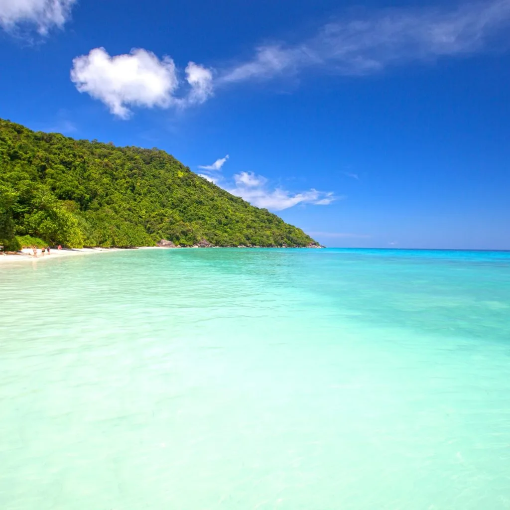 Wide turquoise bay and white sand beach backed by jungle in the Similan Islands