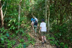 Petit groupe en randonnée sur un sentier de forêt tropicale vers une cascade cachée près de Khao Lak