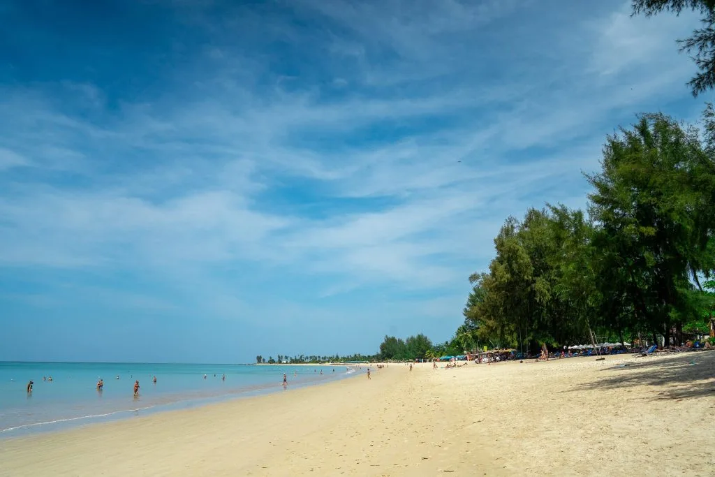 Wide, Quiet Sweep Of Bang Sak Beach Lined With Casuarina Trees, North Of Khao Lak