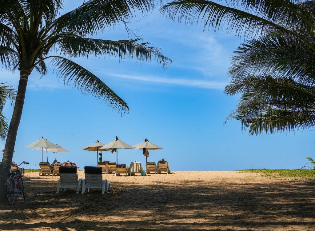 Khao Lak - Khuk Khak Beach Khao Lak Palms Coconut Palms Framing Sun Loungers And Parasols On Khuk Khak Beach, Khao Lak